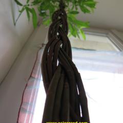 tresse en osier vivant