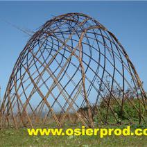 Cabane igloo en osier vivant