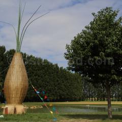 une échalotte géante