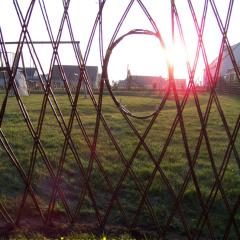 cabane en osier vivant