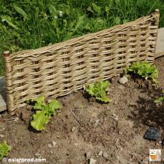 petit plessis en osier désactivé autoclave