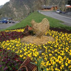 poule en osier désactivé tressé en entrelac