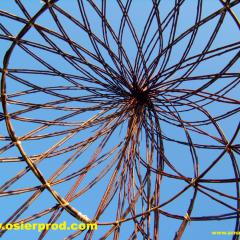 le toit de la cabane en osier vivant