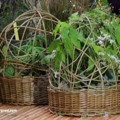tontine en osier désactivé autoclave