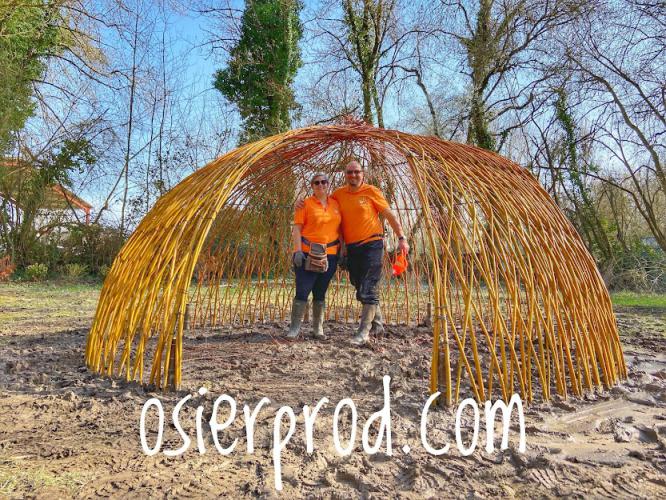 Cabane en Salix Alba