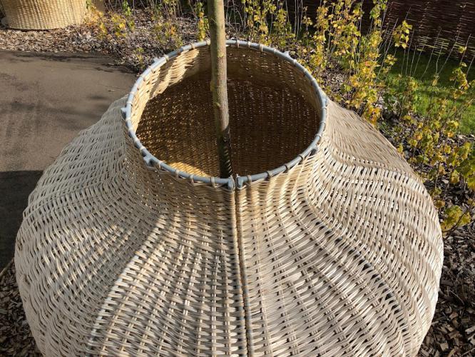 Cabane en osier autoclave